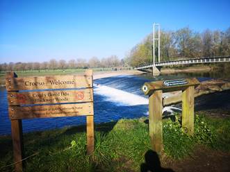 草地上的木椅描述已自动生成